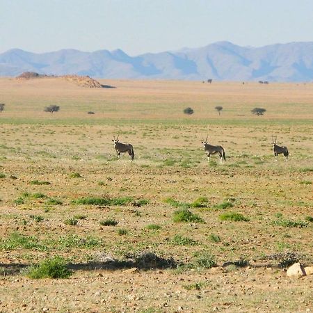 Solitaire Desert Farm Eksteriør bilde