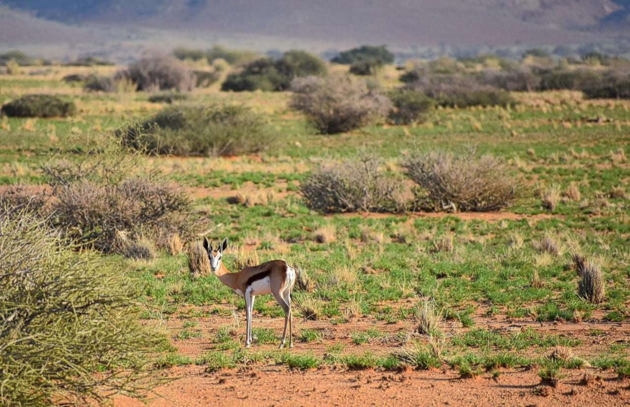 Solitaire Desert Farm Eksteriør bilde