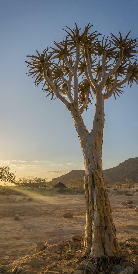 Solitaire Desert Farm Eksteriør bilde