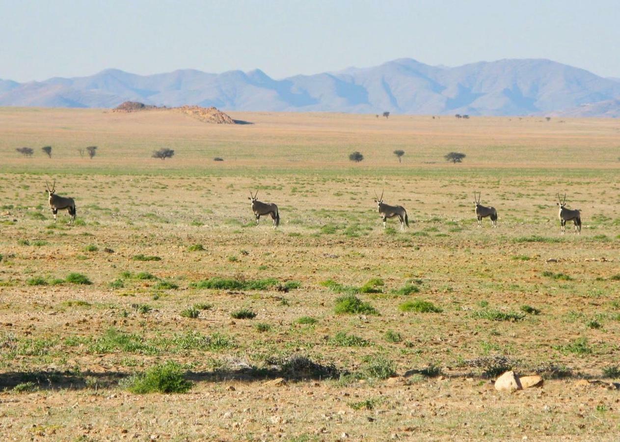 Solitaire Desert Farm Eksteriør bilde